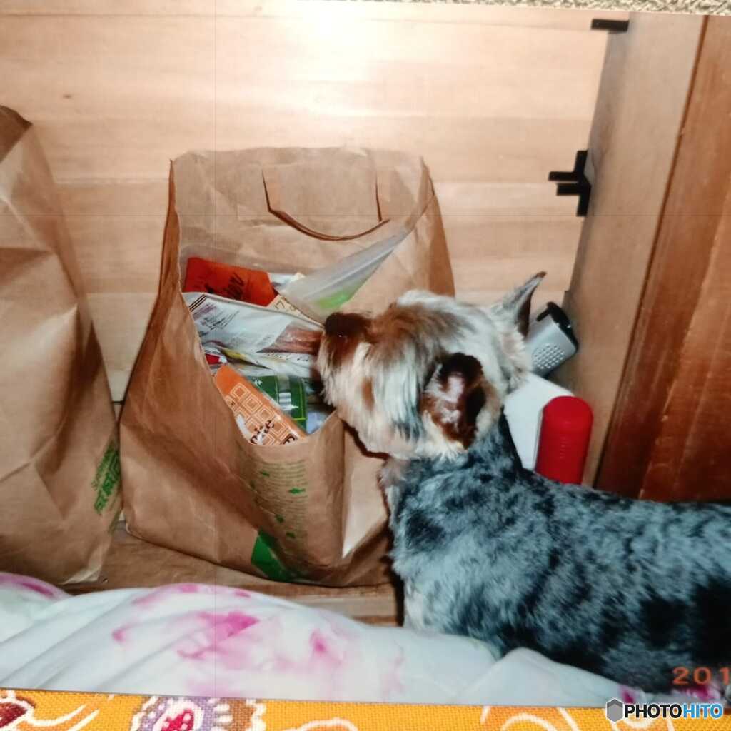 紙袋