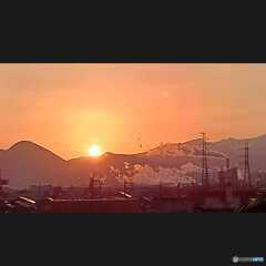 夏の光