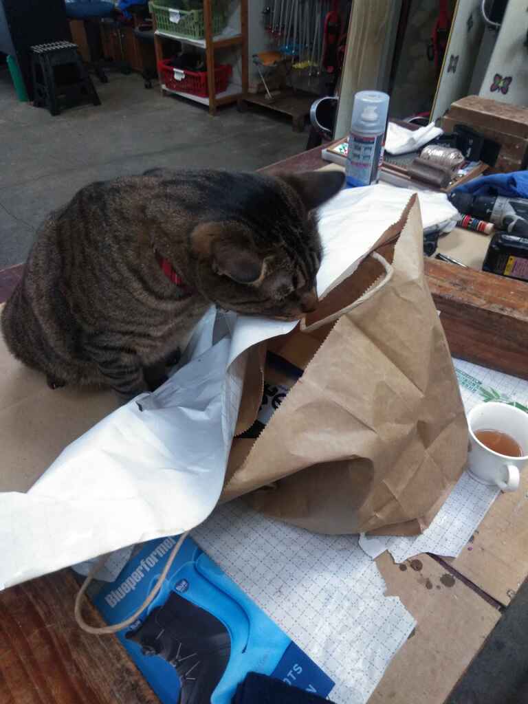 おべんとうの袋