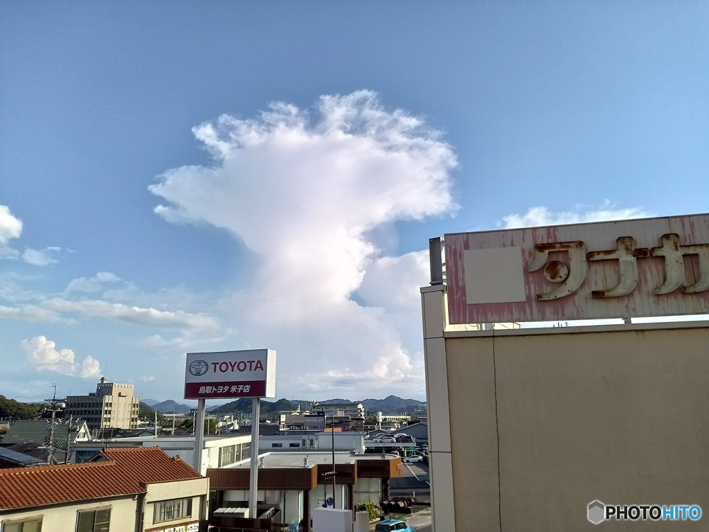 夏の光