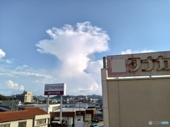 夏の光