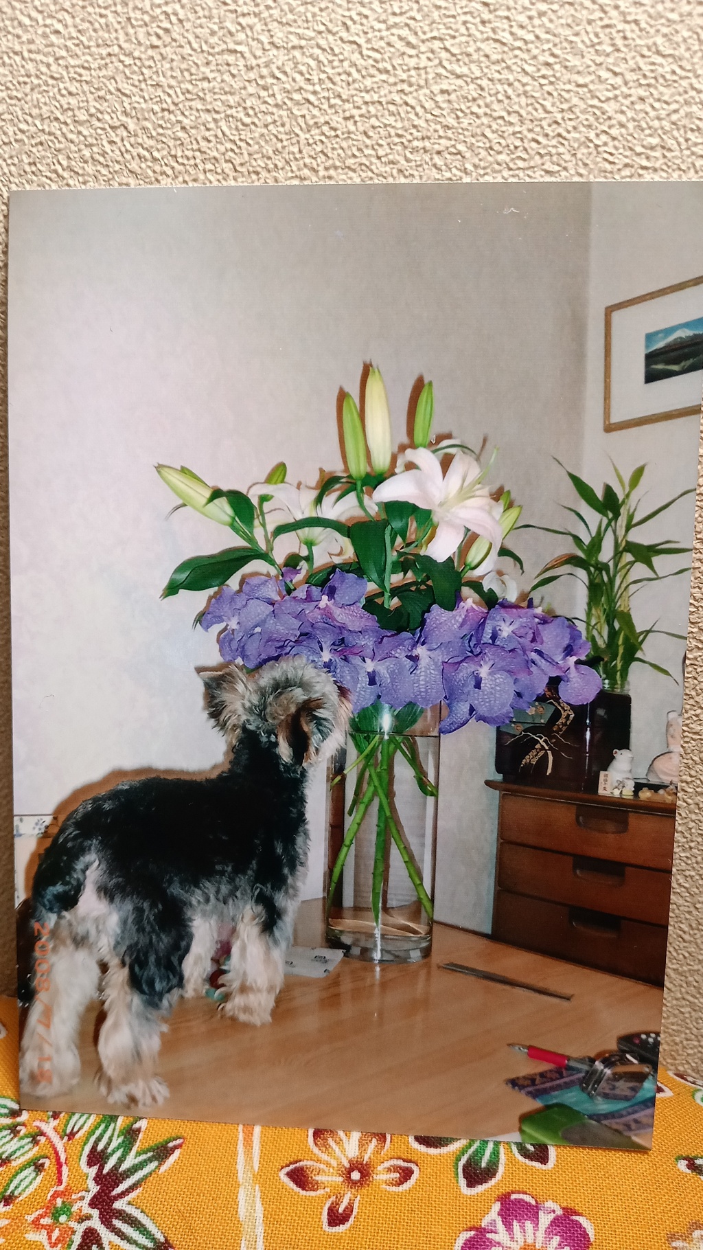 お花が大好き