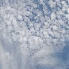 夏の日の雲