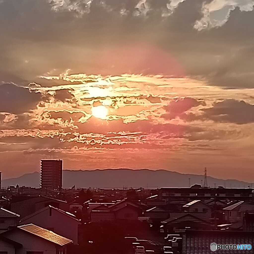 夏の光
