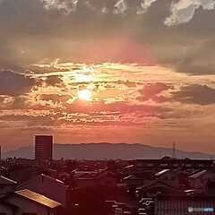 夏の光