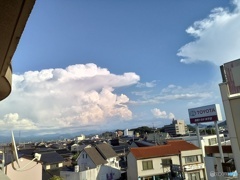 夏の光