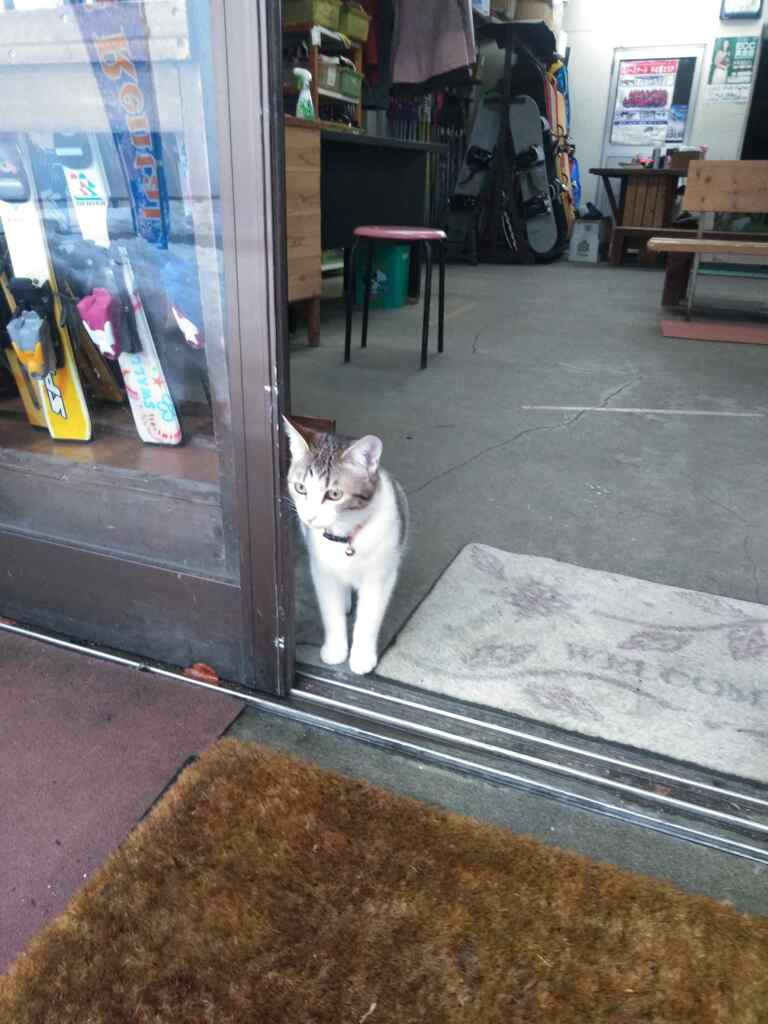 雪が降らないかな