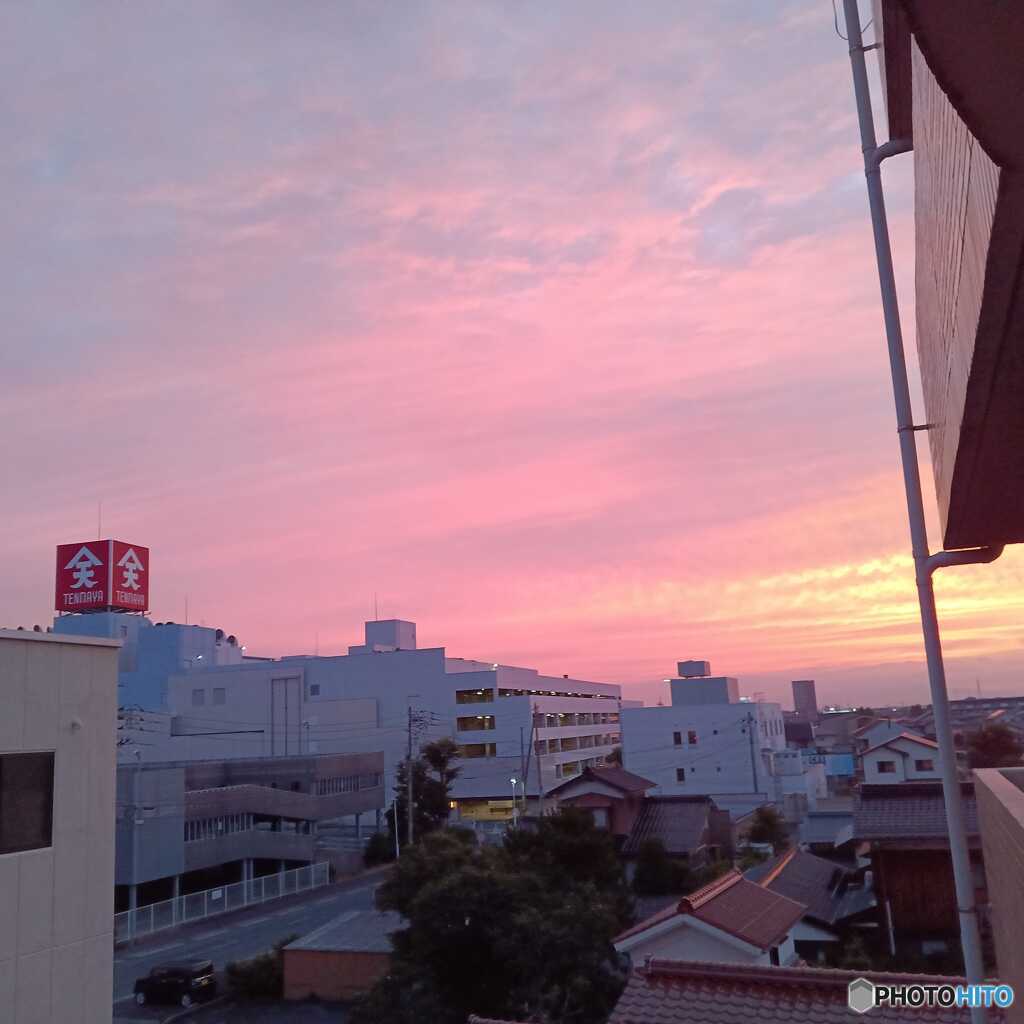 夏の光
