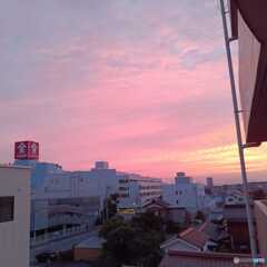 夏の光