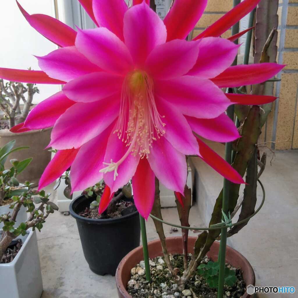 夏の光