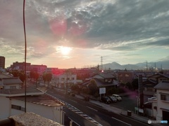 今朝の夏の光