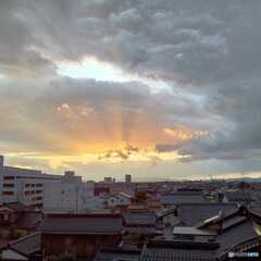 夏の光
