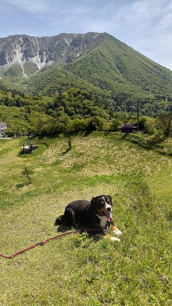 大山をバックにして