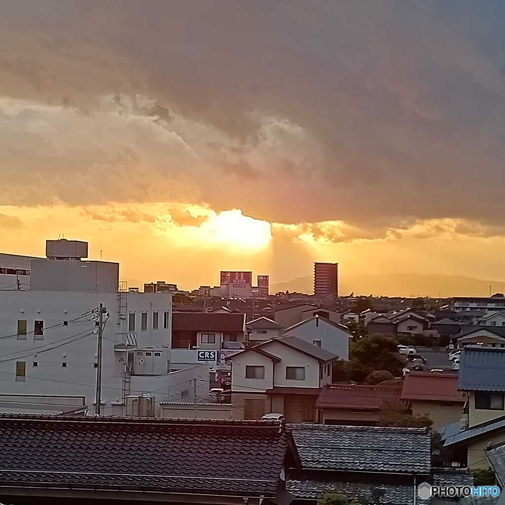 夏の光
