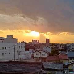 夏の光