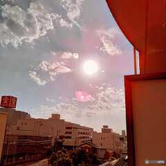 夏の光