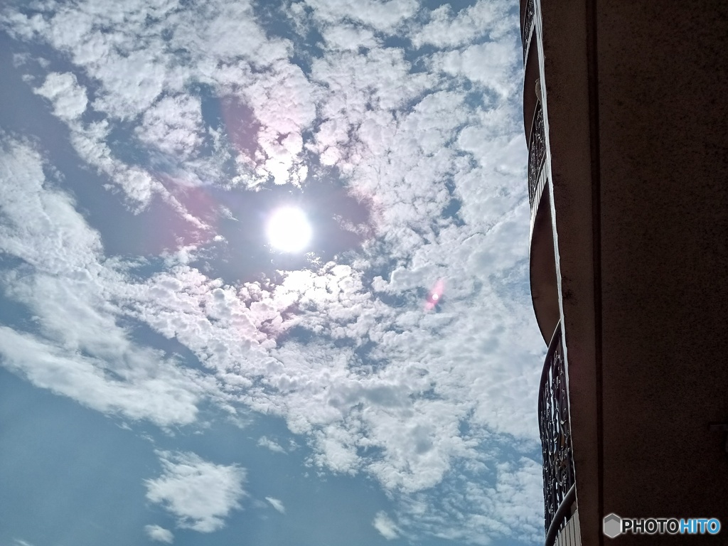 夏の光