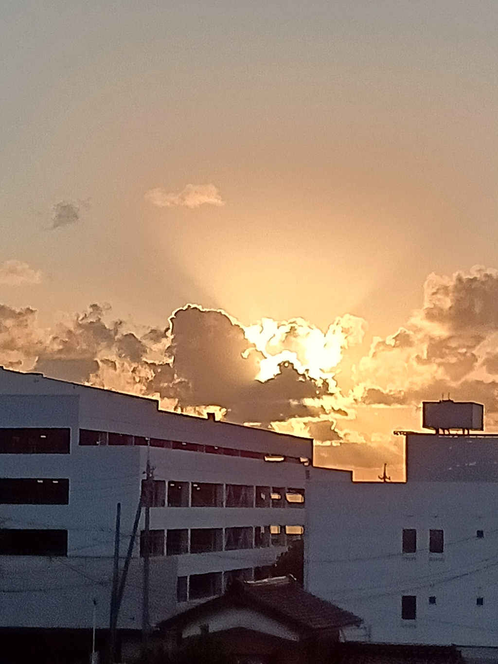 夕陽