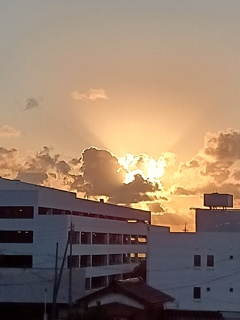 夕陽