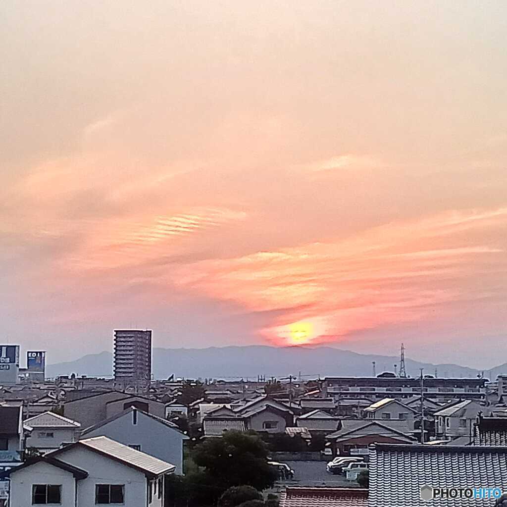 夏の光