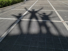 夏の太陽を喜ぶ人々