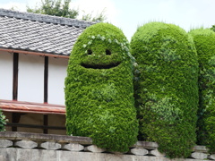 家の門番、つたのかんむり