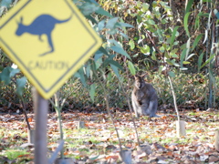 CAUTION