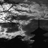 冬