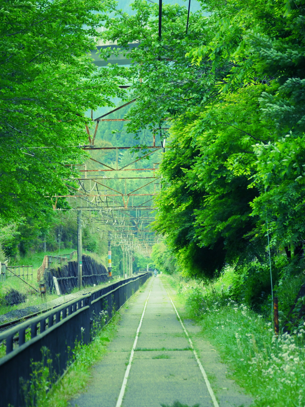軌道