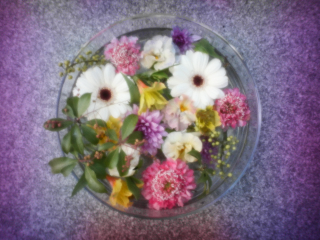 幻惑