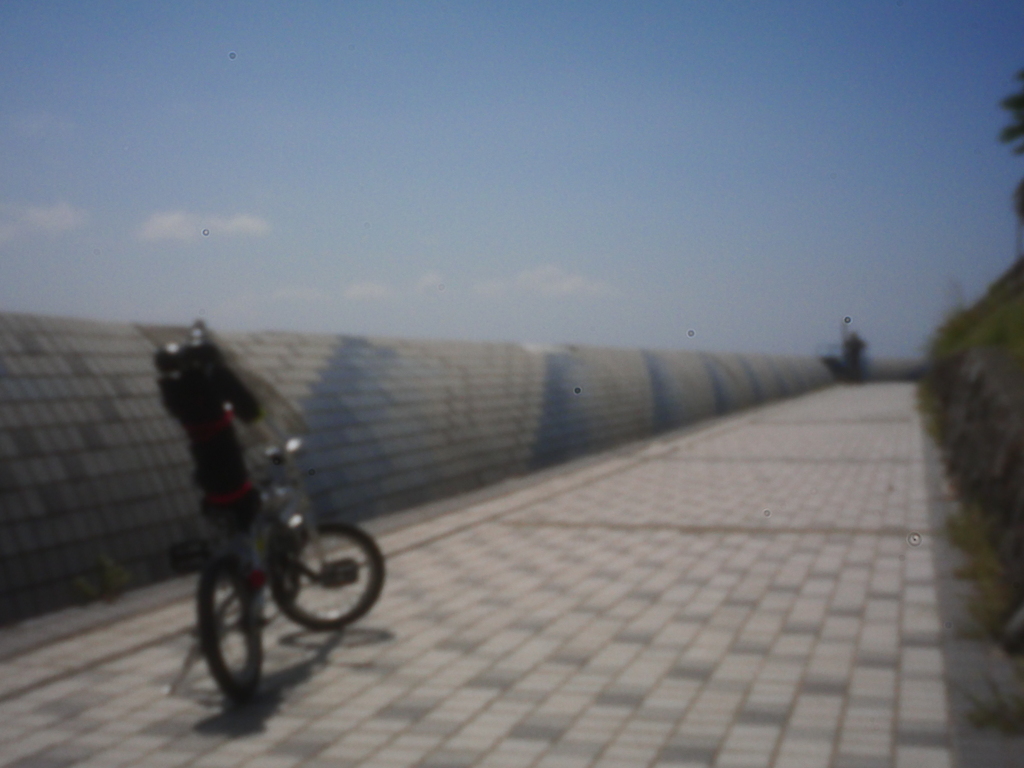 サイクリング