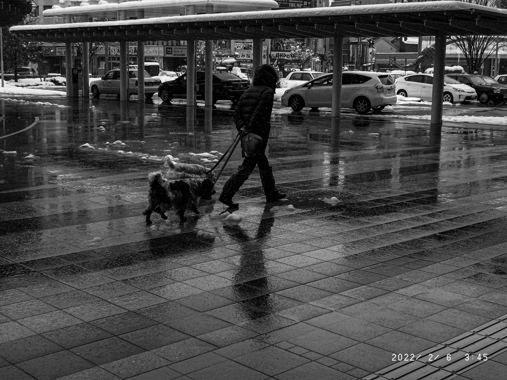 雪のなかの散歩　RICOH GX200