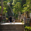 神社の中の保育園へ