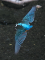 P9101830