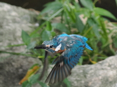 P8270910