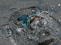 PA082728