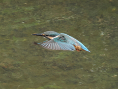P8201408