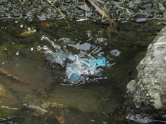 P8201656