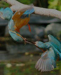 IMG_20220617_204051 (1)