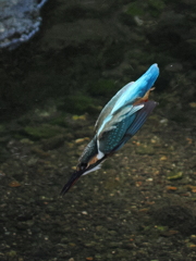 P9101674