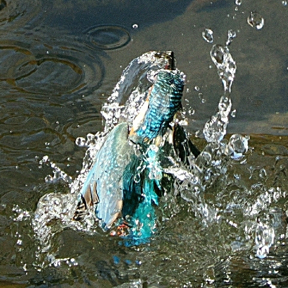 OI000054