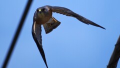 IMG_20220805_203407