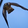 IMG_20220805_203407