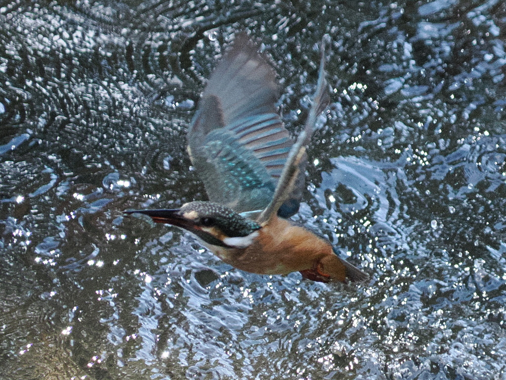 P9101642