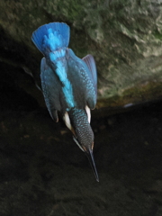 P8270952