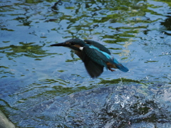 P8033091