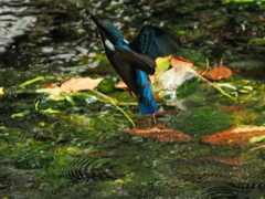 P8033451