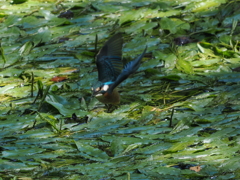 P8033302