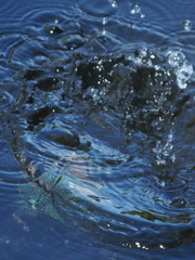P9101511