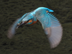 P5156076